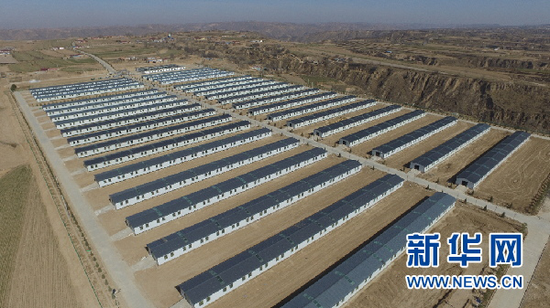 环县肉羊基地。甘肃省农业农村厅供图