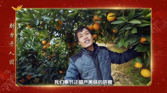 奉节果农代表易守财在自家脐橙园与活动现场连线。 王婷婷 摄