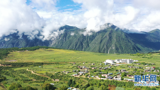 东坝一村辣椒基地