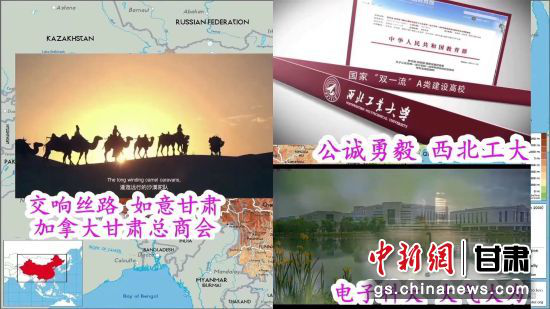 图为晚会开始时截图照片。