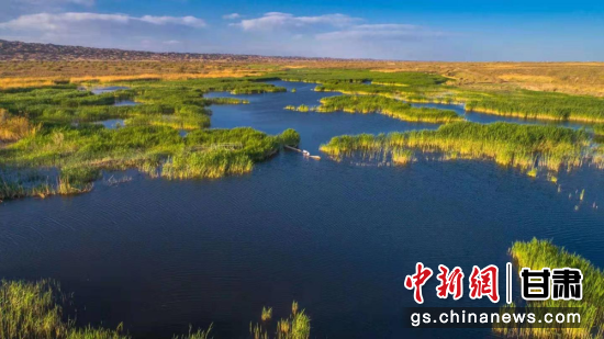 图为国家级公益林瓜州县老师兔管护站。(资料图)王俊 摄