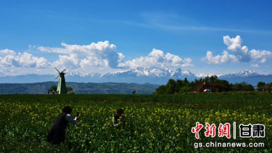 游客在油菜花地合影留念。
