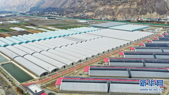 这是青岛市帮扶建设的陇南市武都区青陇现代农业产业园(1月19日摄,无人机照片)。 新华社记者 陈斌 摄