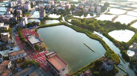 这是入选2020年度世界灌溉工程遗产名录的桑园围(2019年10月3日摄,无人机照片)。新华社发(中国国家灌排委员会供图)