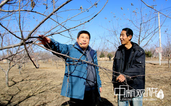 庆阳市西峰区后官寨镇李庄村村在地图中查看民孙立成向后官寨镇农口干部请教果树管理技术。