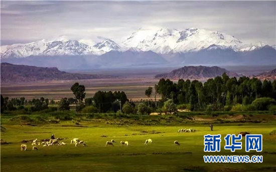 甘肃省文旅厅供图