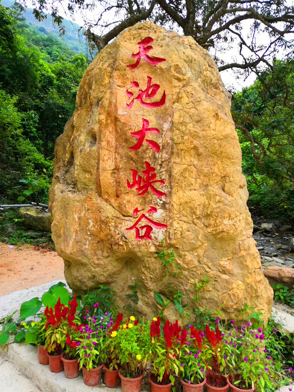摄影:刘洁