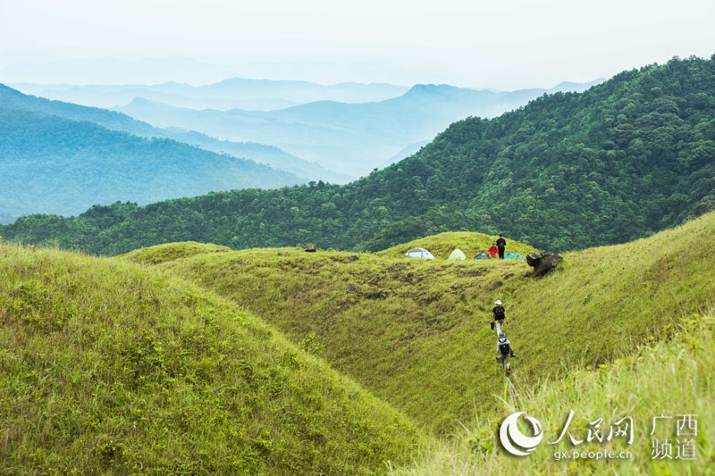 广西上思:十万大山里的"空中草原"