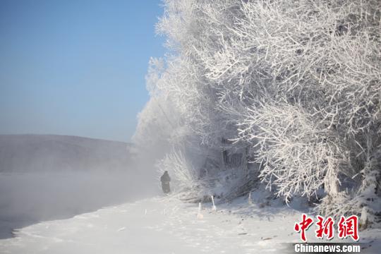 “中国最冷小镇”的雾凇美景。(冯宏伟 摄)