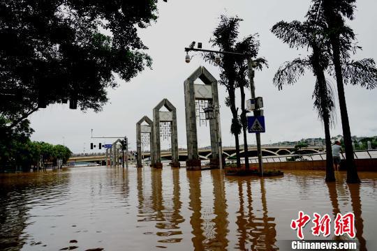 图为上涨的漓江水漫过桂林解放桥滨江路。 唐梦宪 摄