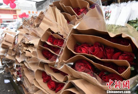 图为鲜花市场的商家提前备好玫瑰花迎接情人节。 周毅 摄