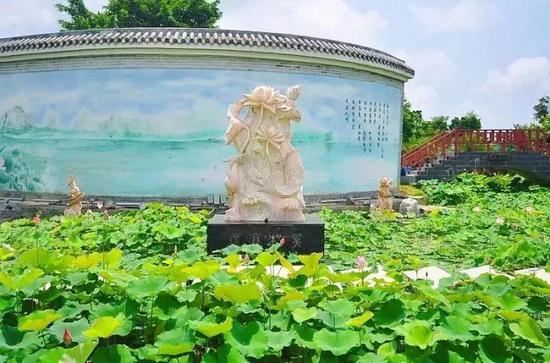 荷花IMG_4749.JPG
