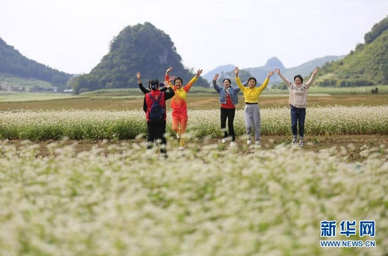  游客在柳州市柳城县古砦仫佬族乡独山水库库区的荞麦花丛中跳舞；