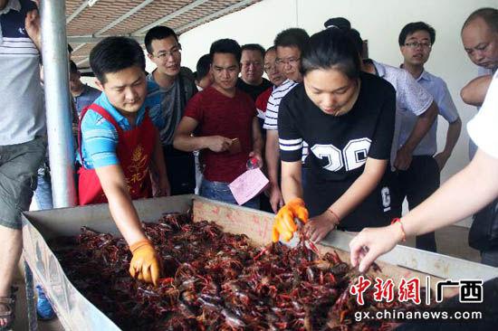 图为雁山区特色养殖业。李康 摄