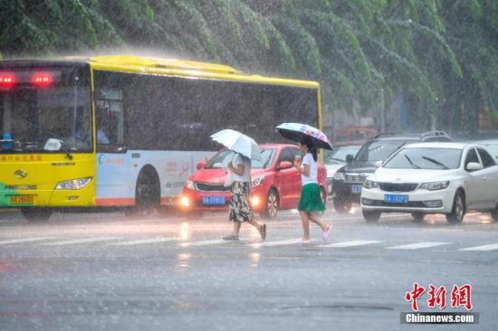 图为民众打伞在雨中过马路。 骆云飞 摄