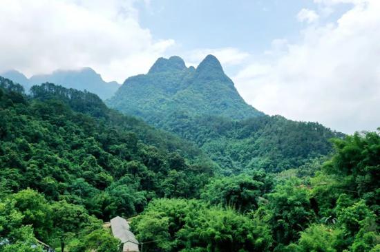 DJI_0121_副本.jpg