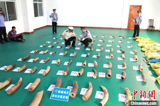 缉私民警查获走私象牙 张鑫 摄