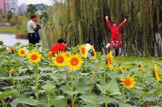 在如画的风景中,心情也嗨起来!