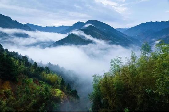 © 图虫牵着你的佐手