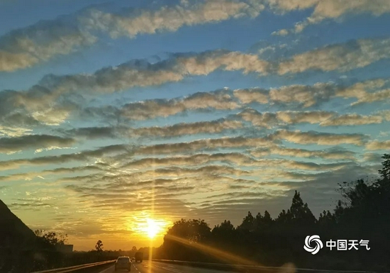 摄影:蔡晓芸