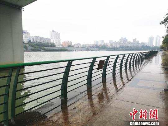 事发地点柳江河边。 朱柳融 摄