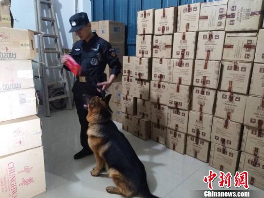 图为海关缉私民警查获走私香烟 钟欣 摄