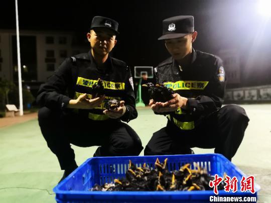 图为民警清点涉案八哥 李仁毅 摄