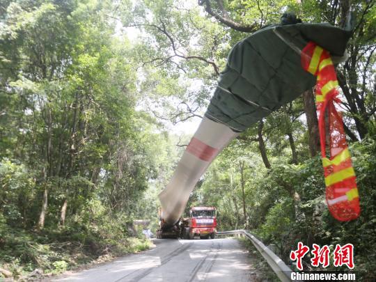  һ56.6׳ķҶƬɽΤپ 