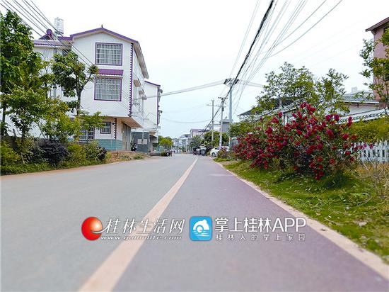 伴随着桂阳公路改扩建工程的全面竣工,象山区二塘乡北芬大村迎来了前所未有的发展机遇。记者桂晨 摄