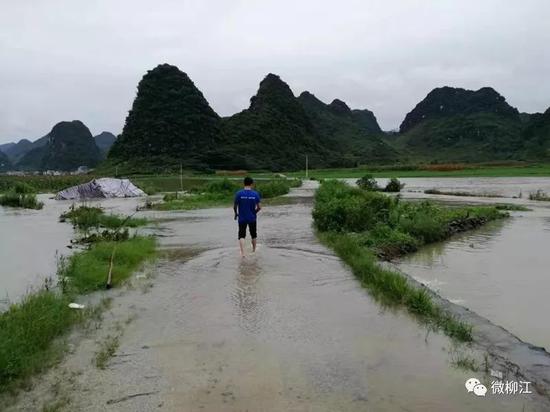 拉堡镇人口_拉堡镇镇长梁胤(2)