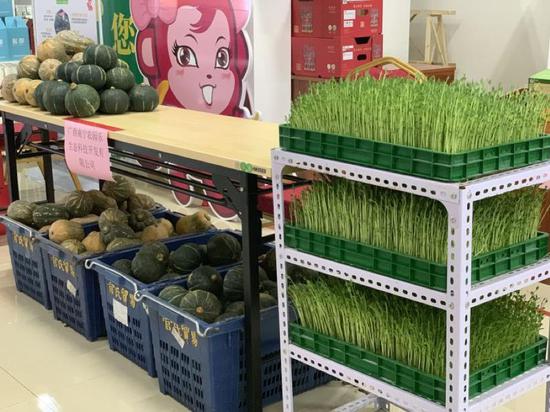 生态绿色的新鲜蔬菜