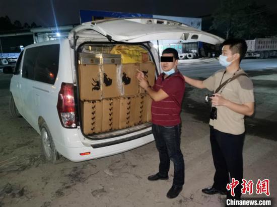 涉案人员指认其运输的涉走私香烟。 吴传富 摄