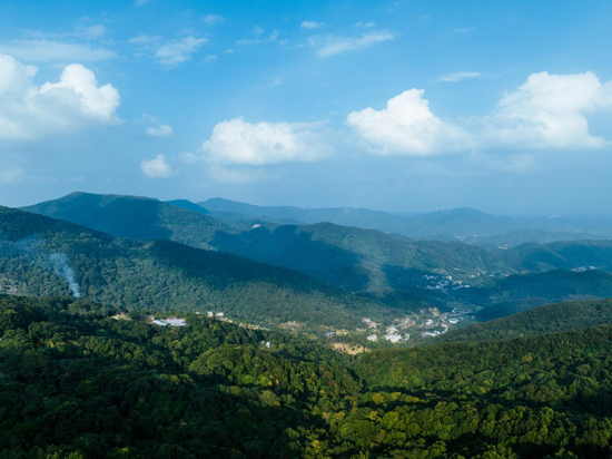 藏在十万大山里的油画世界！走，去钦州看山野