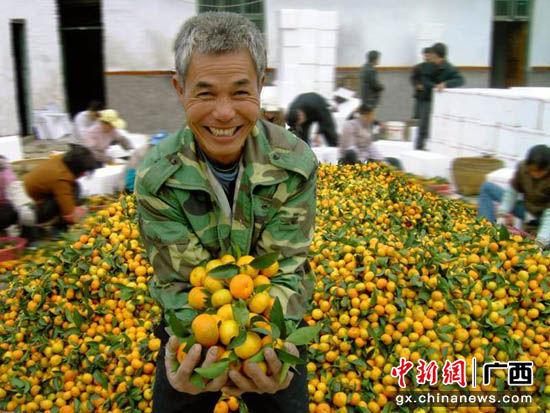 图为果农喜获丰收,乐开怀。谢次娣 摄