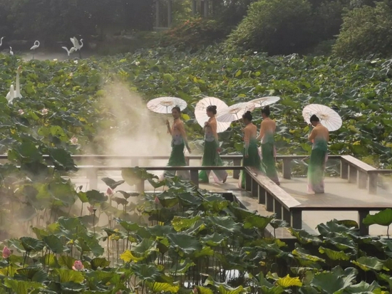 青秀山风景区推出以“迎百年盛世 赏水生花卉”为主题的水生花卉观赏季。