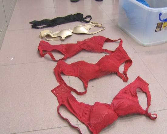 怎么到高档小区偷内衣_高档小区偷内衣大盗(2)