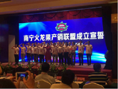 推动火龙果产业发展,南宁火龙果产销联盟成立