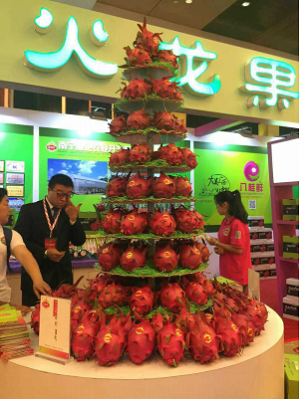 推动火龙果产业发展,南宁火龙果产销联盟成立