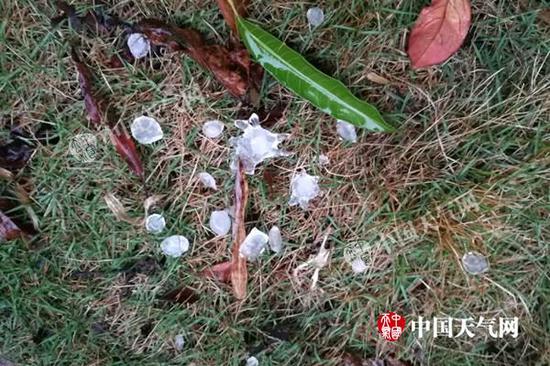 冰雹直径约10毫米(图/杨志)