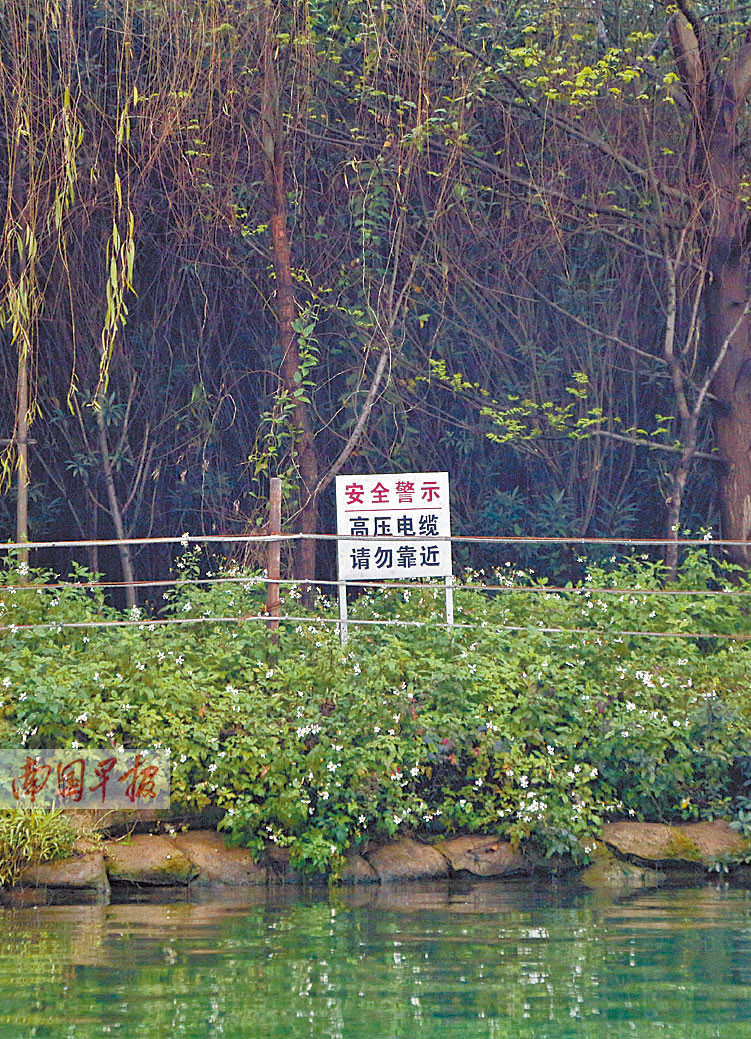 萝卜洲四周被人工筑起的岛坝包围,并安了一圈防护网,防止外来人士登岛。