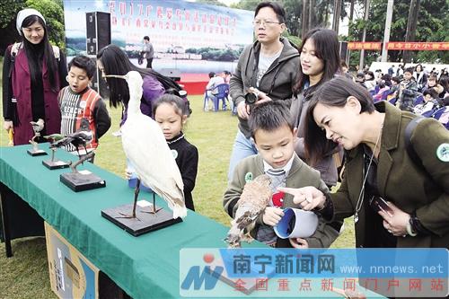 看标本识鸟类,展台吸引了不少青少年。记者 宋延康 摄