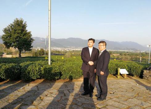 　　松阳县县委副书记、县长李汉勤携同王海波考察参观茶园