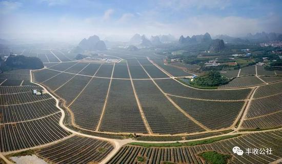 五年烧掉超过2个亿!他们现在还在地里点亮18万