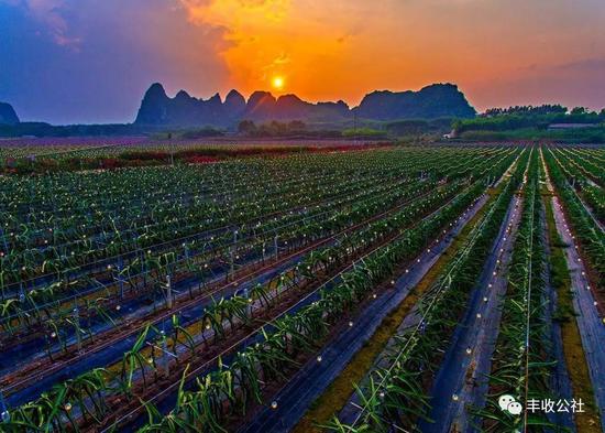 五年烧掉超过2个亿!他们现在还在地里点亮18万