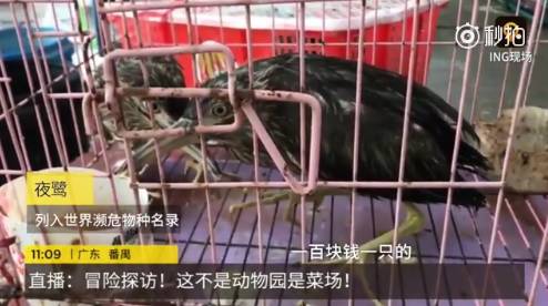 徐闻县前山镇现有人口数多少_徐闻县前山镇(2)