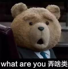 弄啥呢