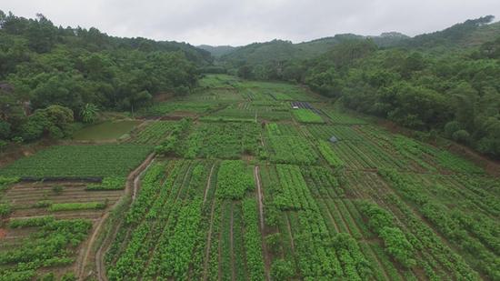 钦州市区人口100万_钦州市区(2)