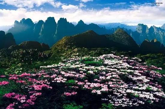 广西71个县(市)经济实力排行榜 你的家乡排第几