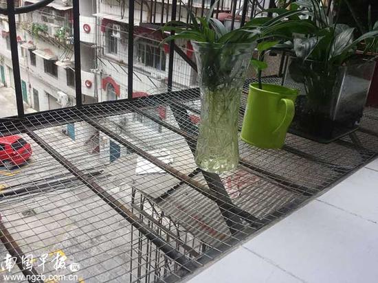 ▲一些安装人员表示,防盗网上可铺设一些细网纱增强安全性能。南国早报记者 陆旺摄