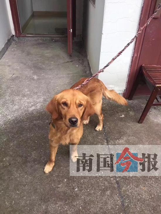 快狗和货拉拉哪个比较好 HDvf-fymvuyt3554863.jpg